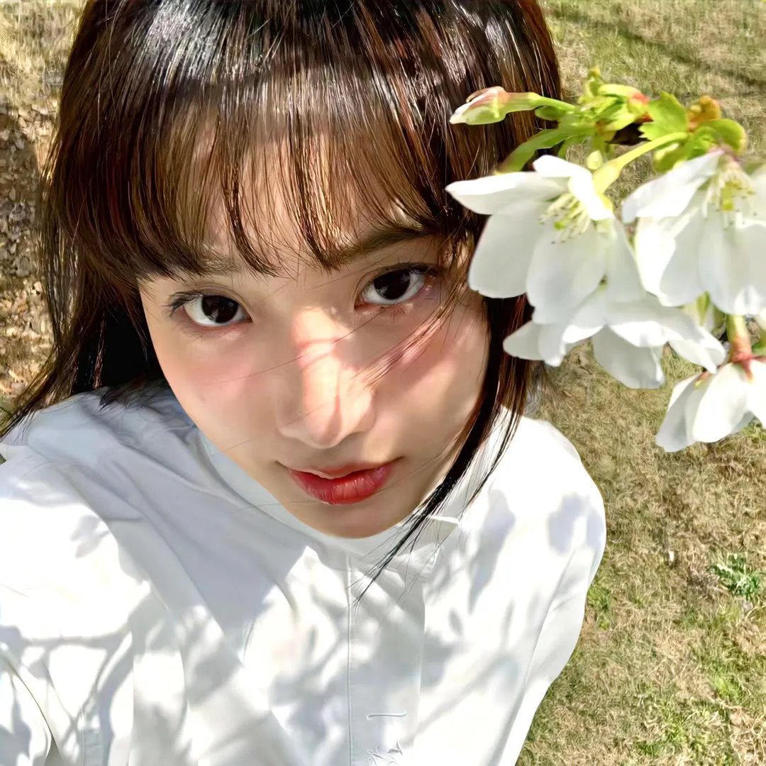 神驹黑美人封面